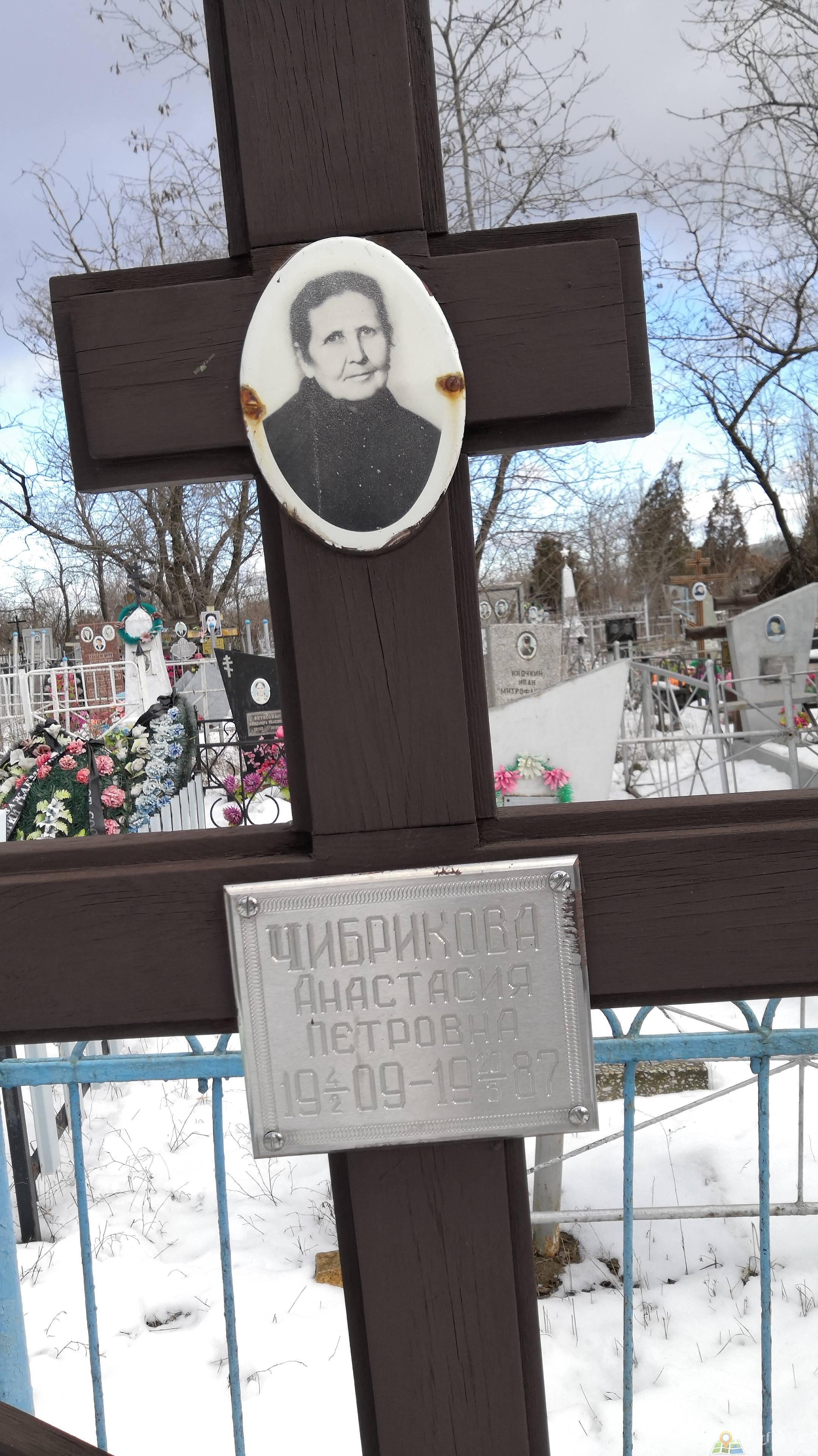 Чибрикова Анастасия Петровна