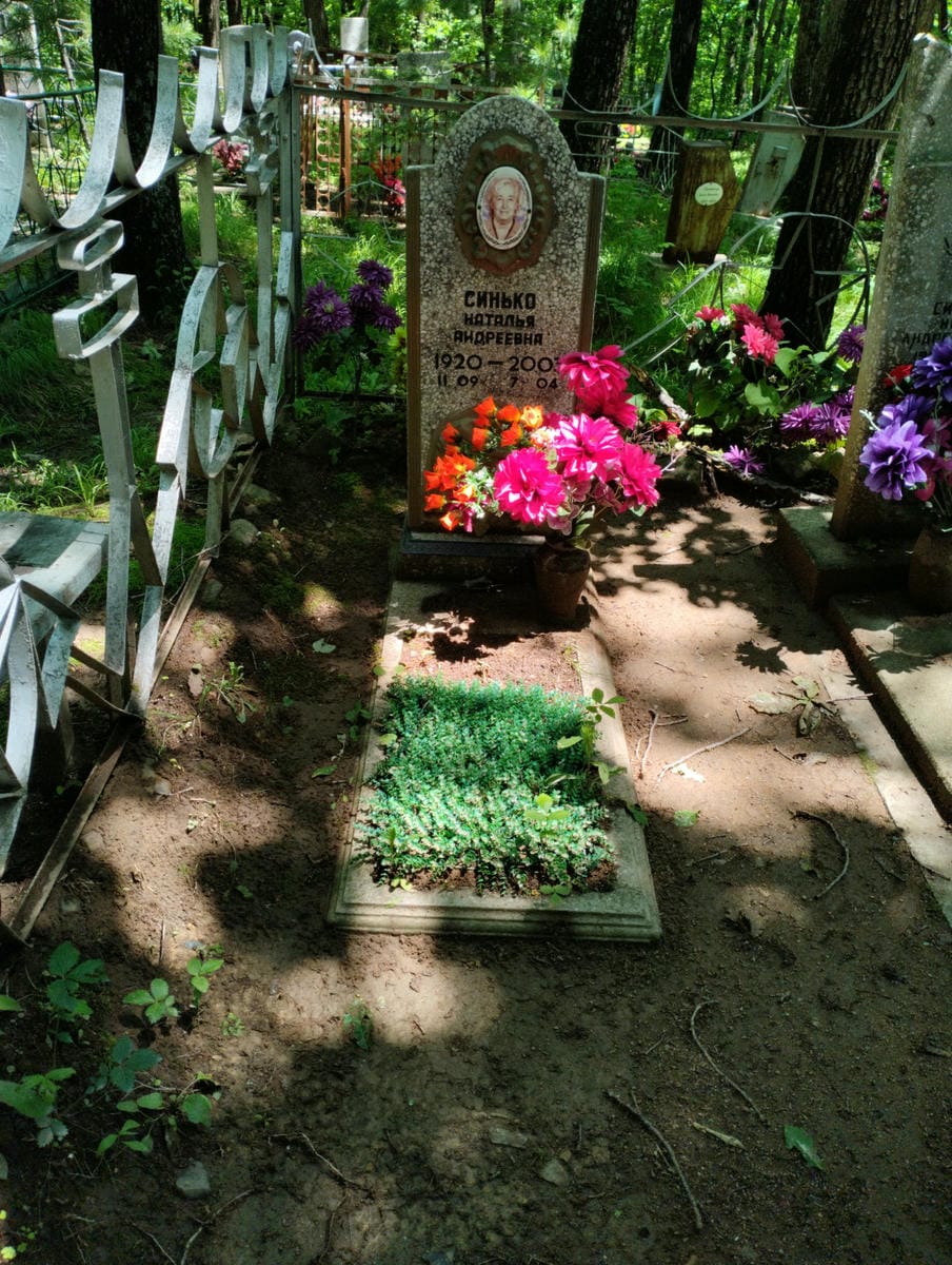 Синько Наталья Андреевна