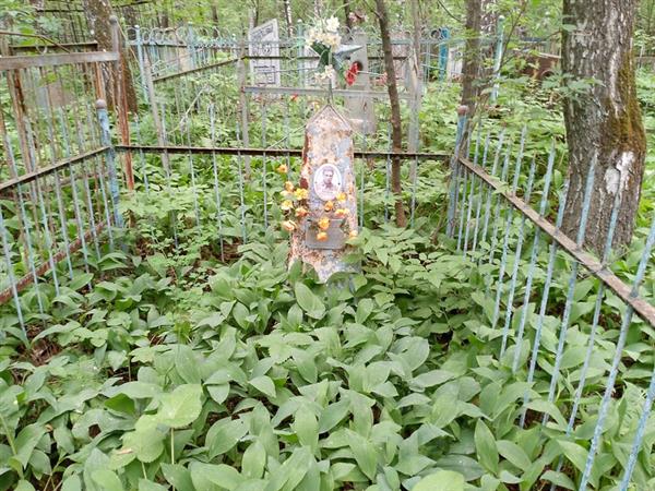 Ледяев Николай Максимович