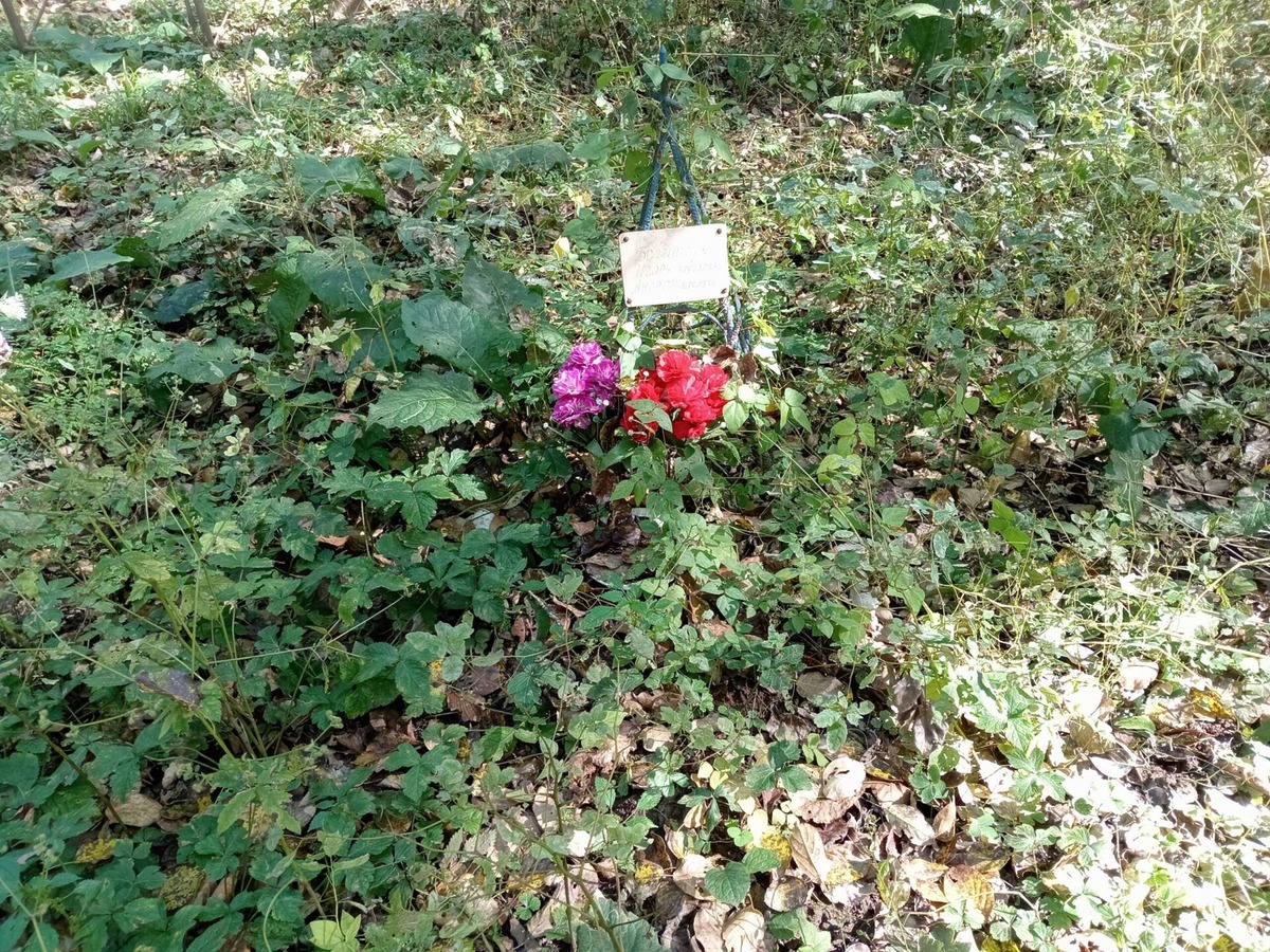 Бегишев Андрей