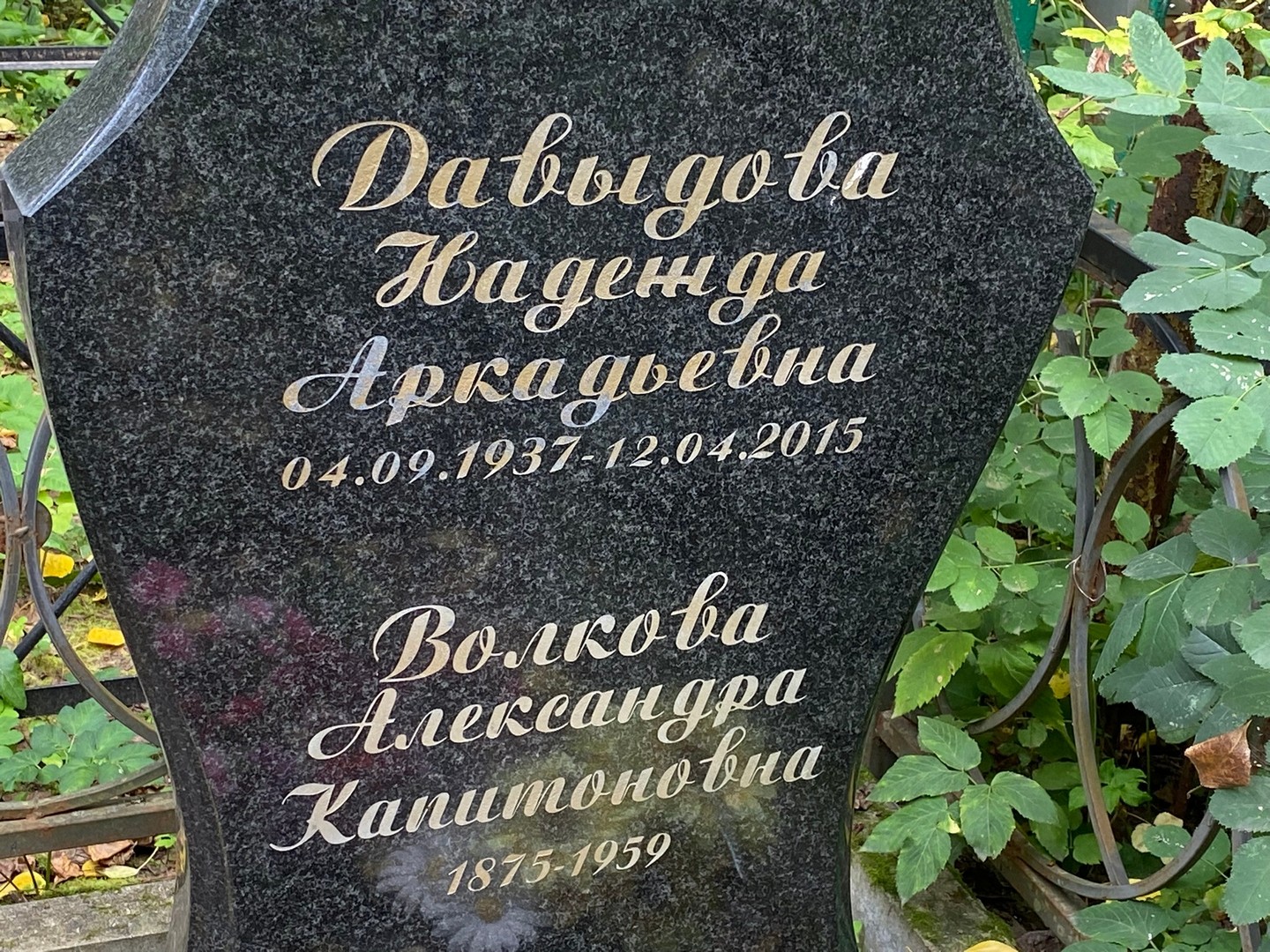 Давыдова