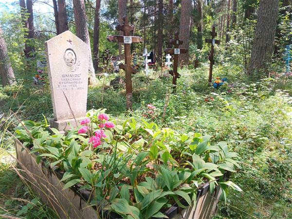Шмаков Александр Степанович