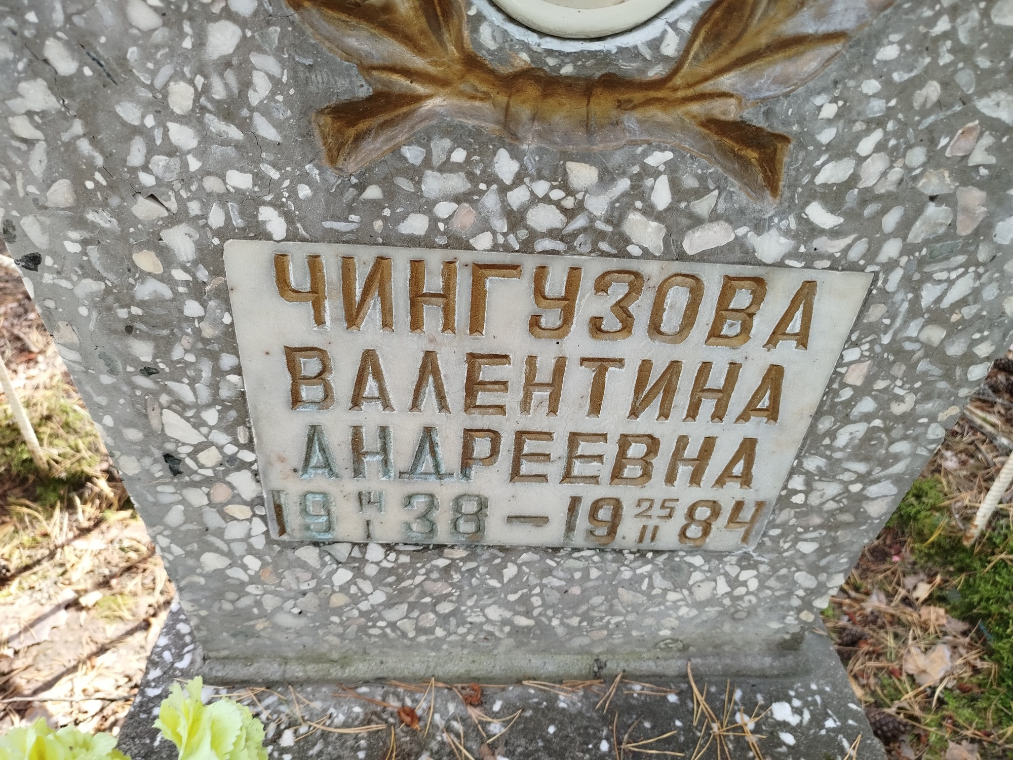 Чингузова Валентина Андреевна