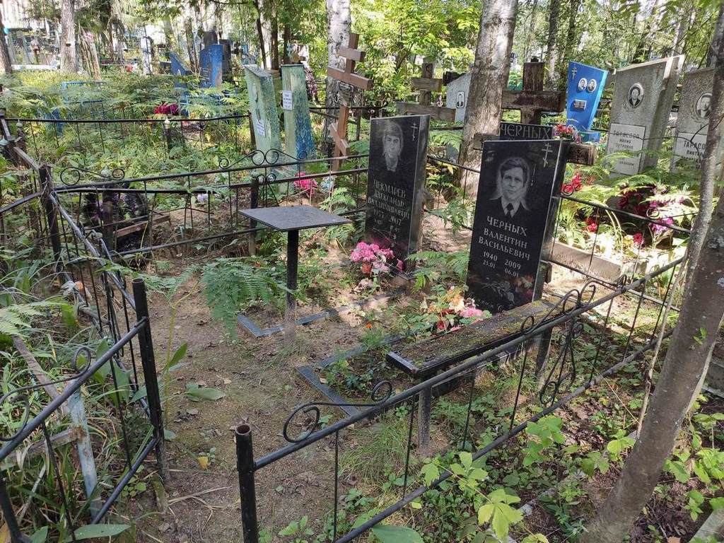 Чекмарев Александр Владимирович
