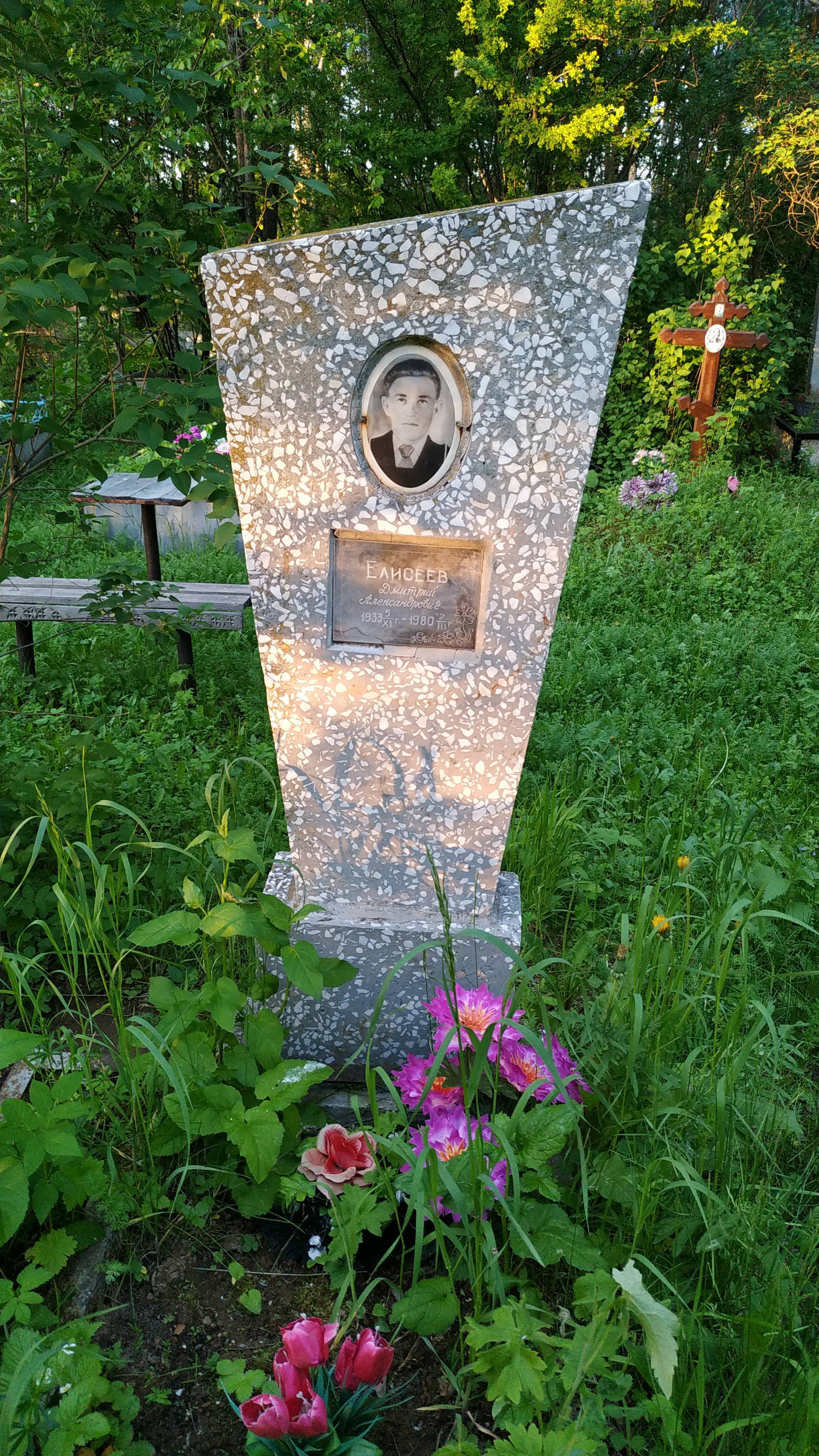 Елисеев Дмитрий Александрович