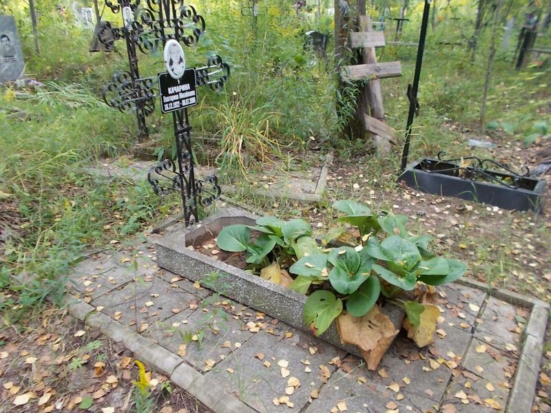 Качарина Екатерина Михайловна
