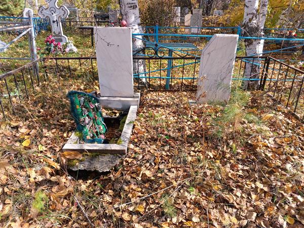 Дунаевская Р. М.