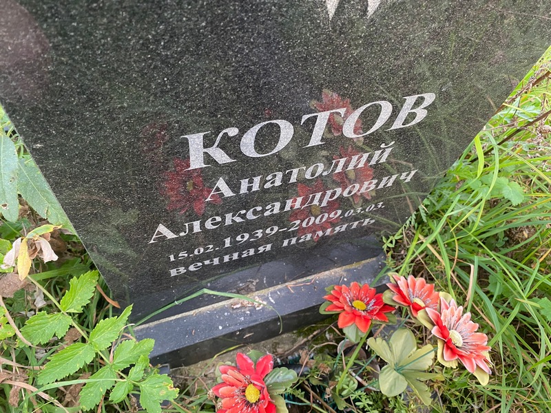 Котов