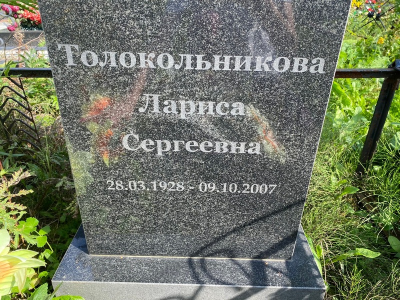 Толокольникова