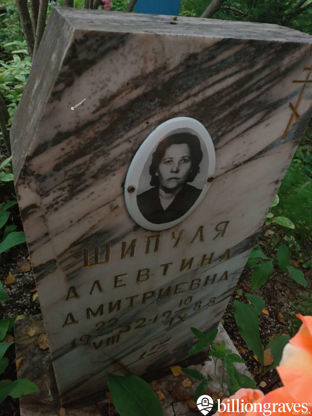 Шипуля Алевтина Дмитриевна