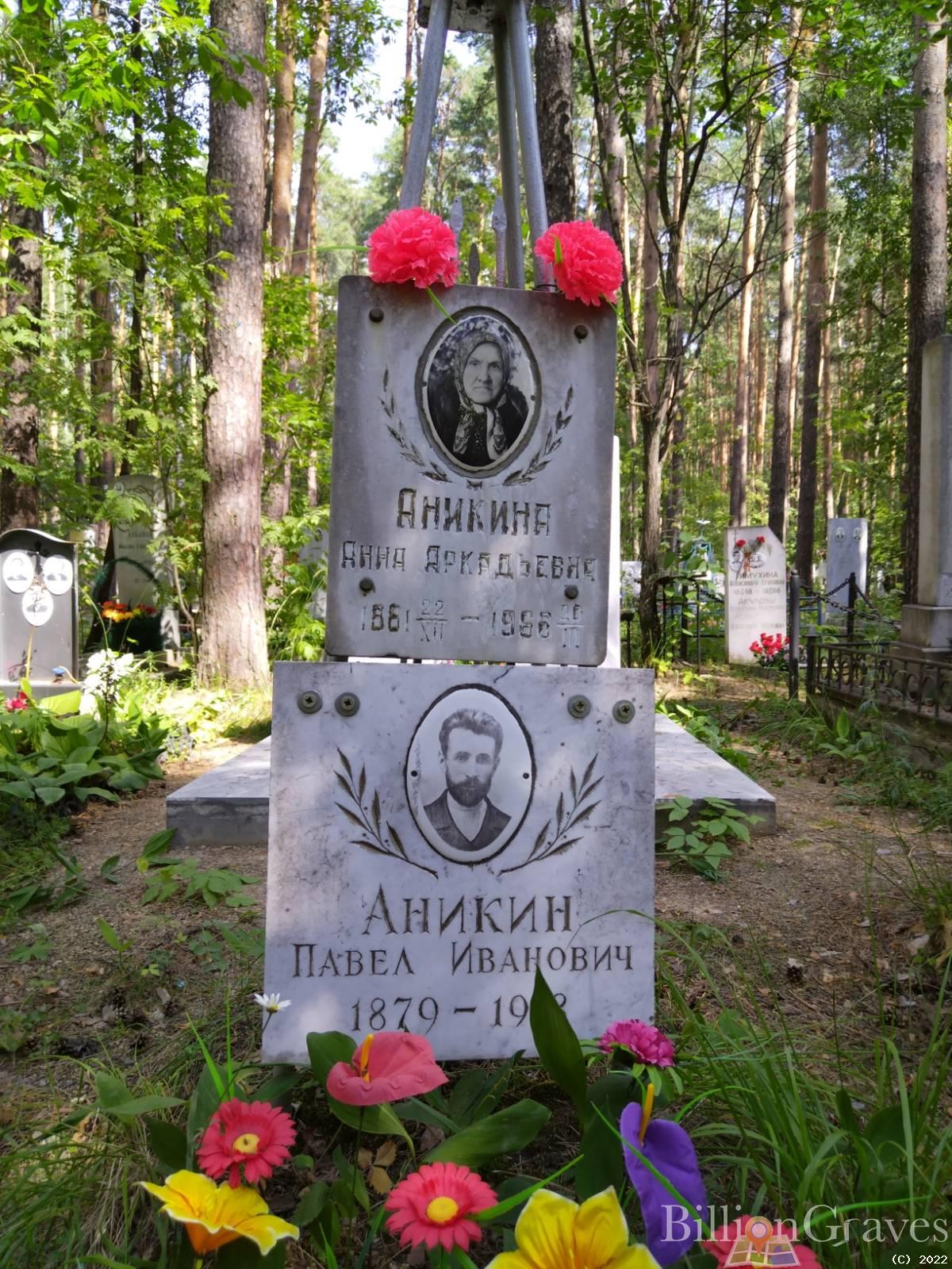 Аникина Анна Аркадьевна