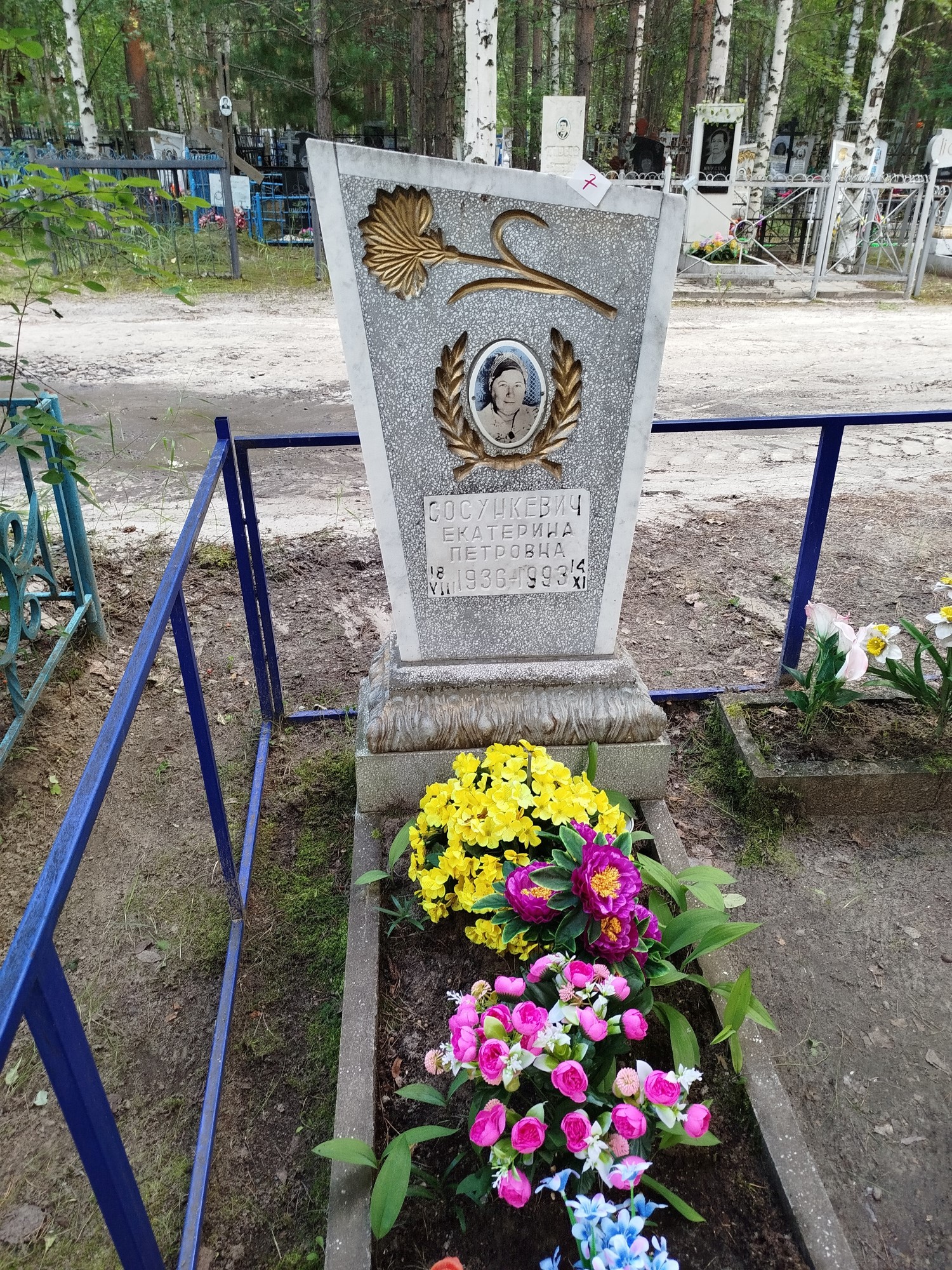 Сосункевич Екатерина Петровна