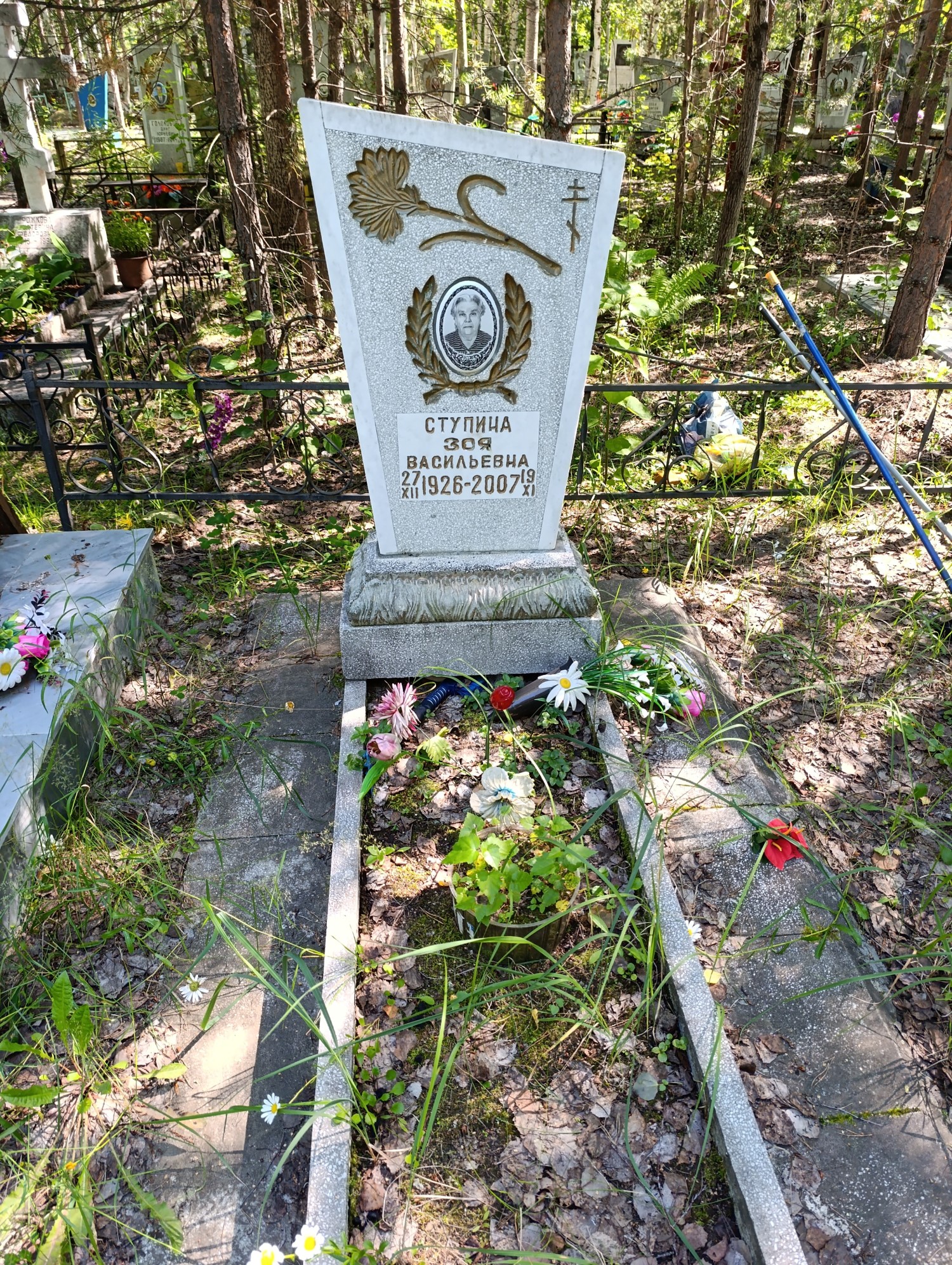 Ступица Зоя Васильевна