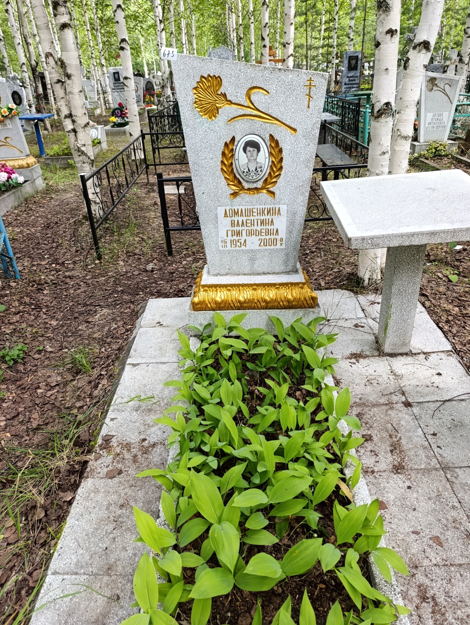 Домашенкина Валентина Григорьевна