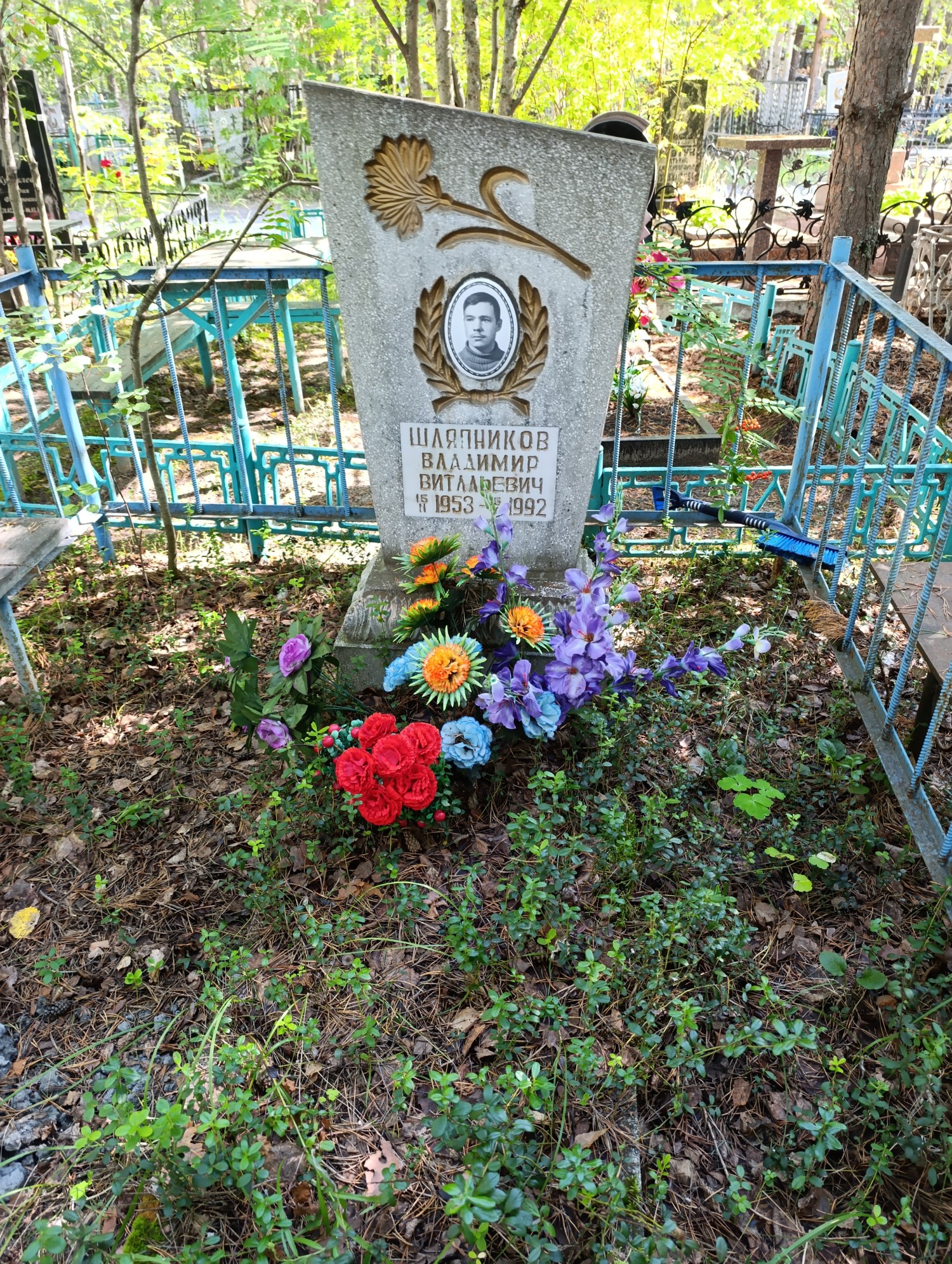 Шляпников Владимир Витальевич