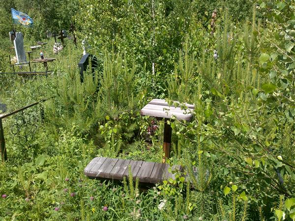 Курбанов Тахир Шарифович