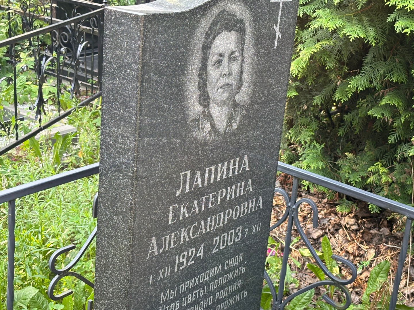 Лапина