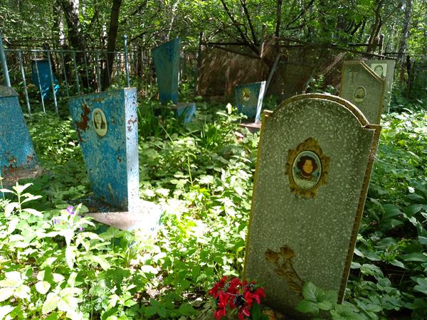 Речков Андрей Сергеевич