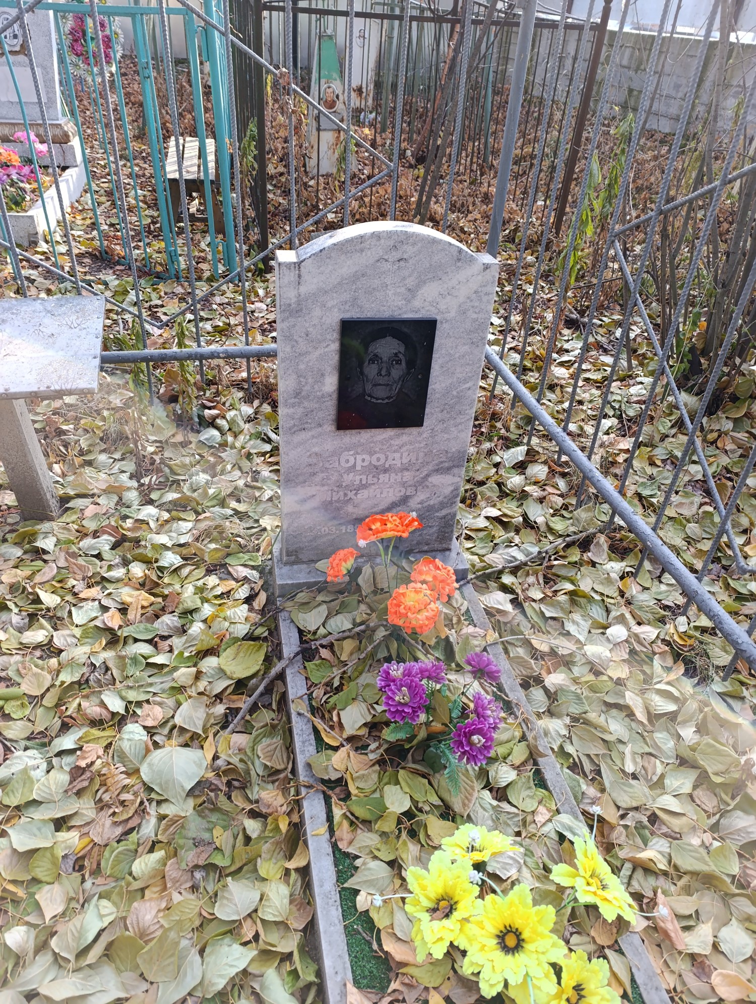 Забродина Ульяна Михайловна