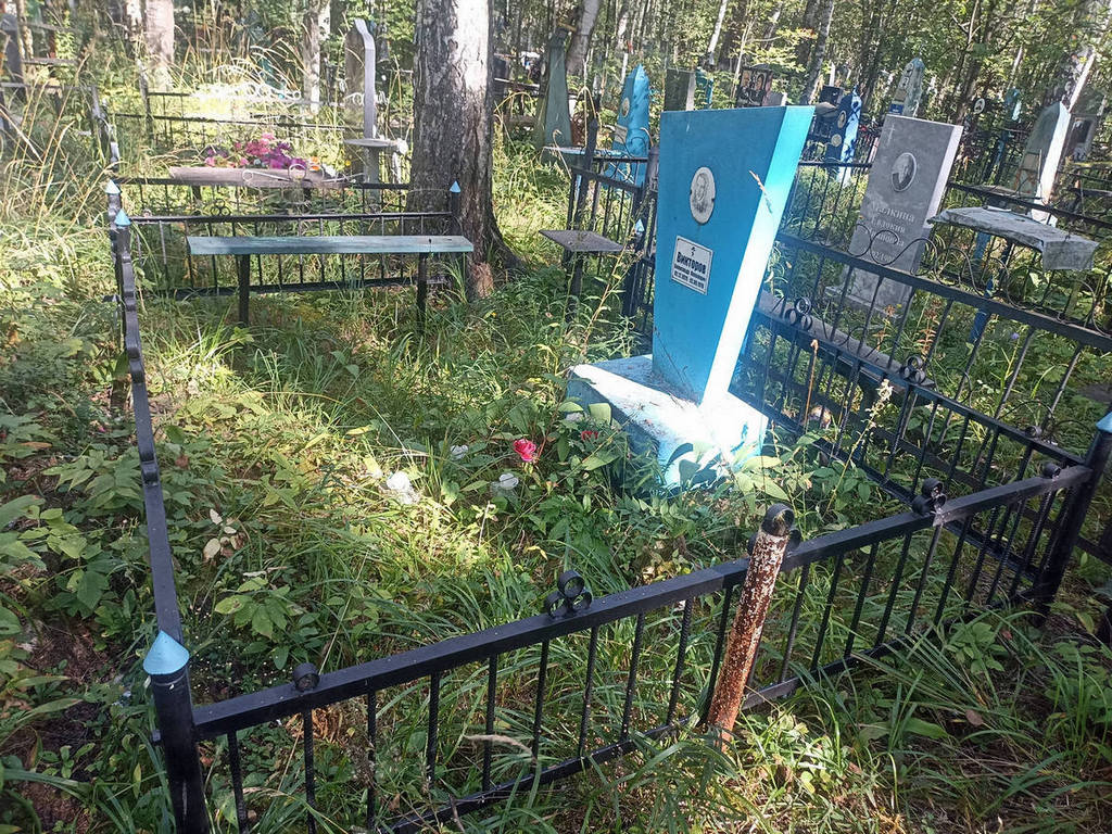 Викторов Александр Яковлевич