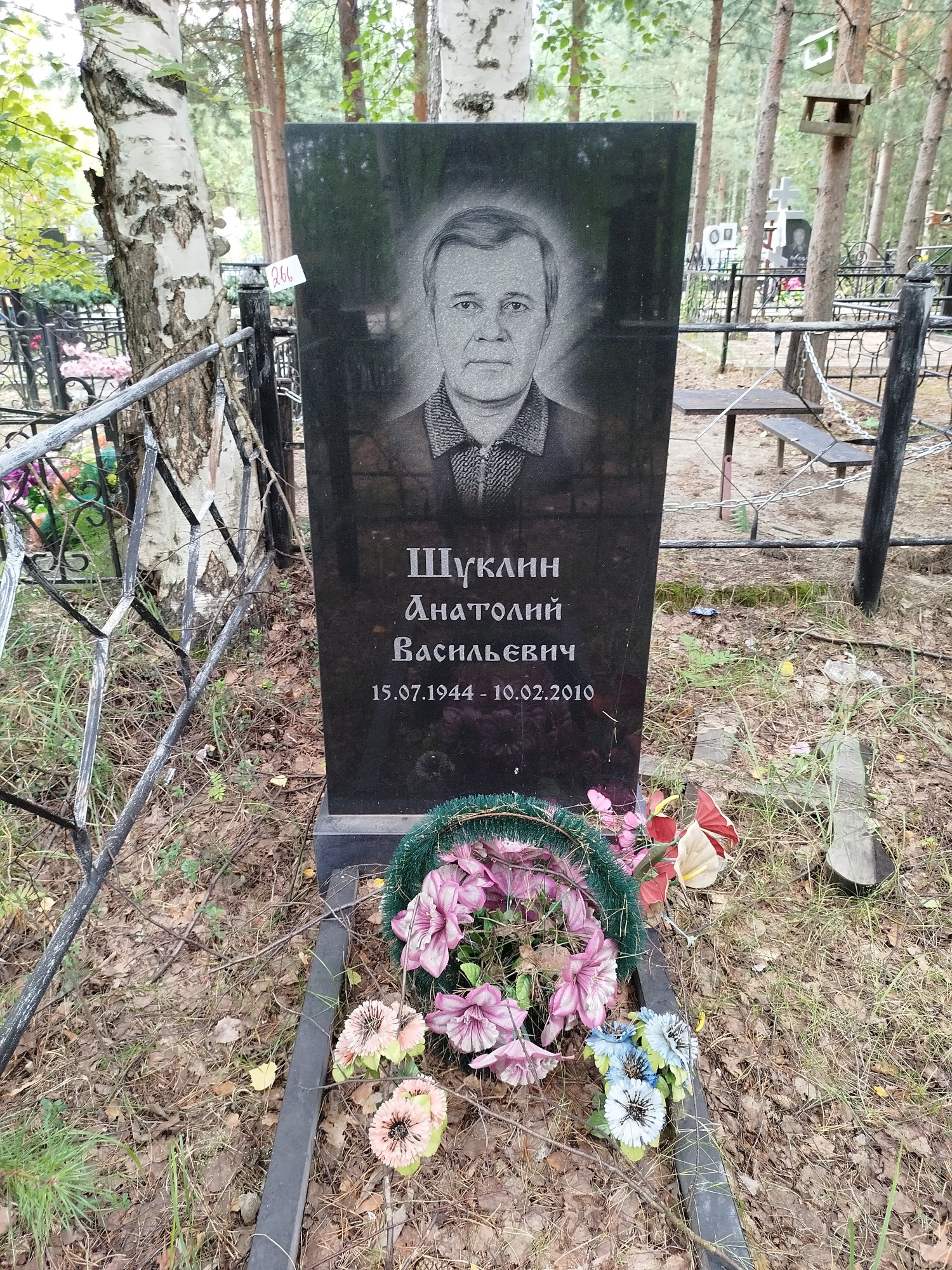 Шуклин Анатолий Васильевич