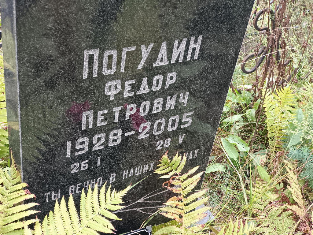 Погудин Федор Петрович