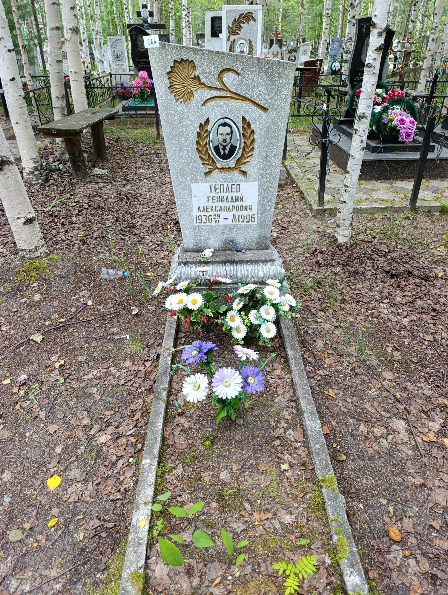 Тепаев Геннадий Александрович