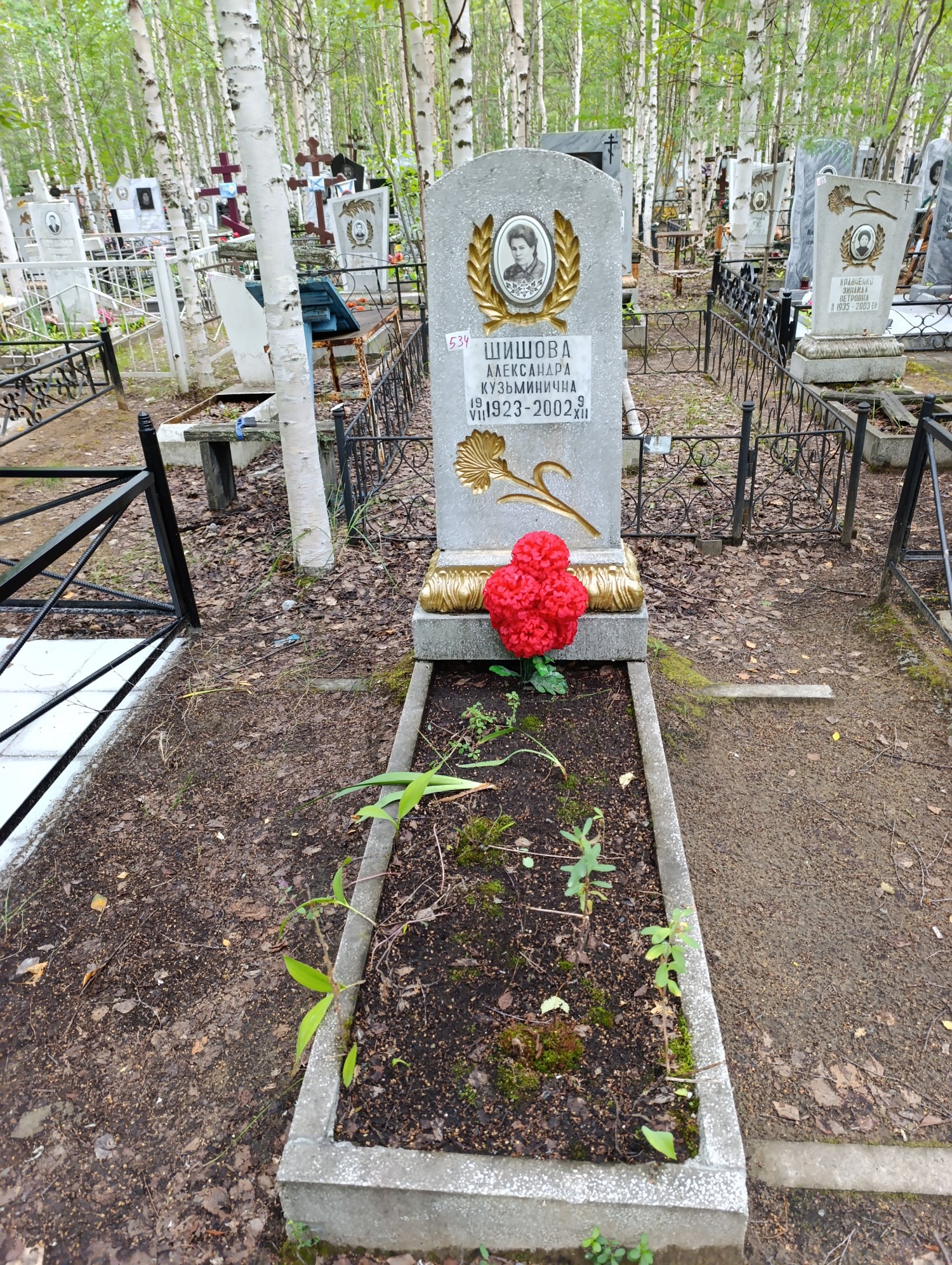 Шишова Александра Кузьминична