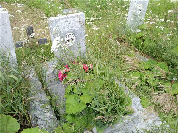 Мягкова Александра Викторовна