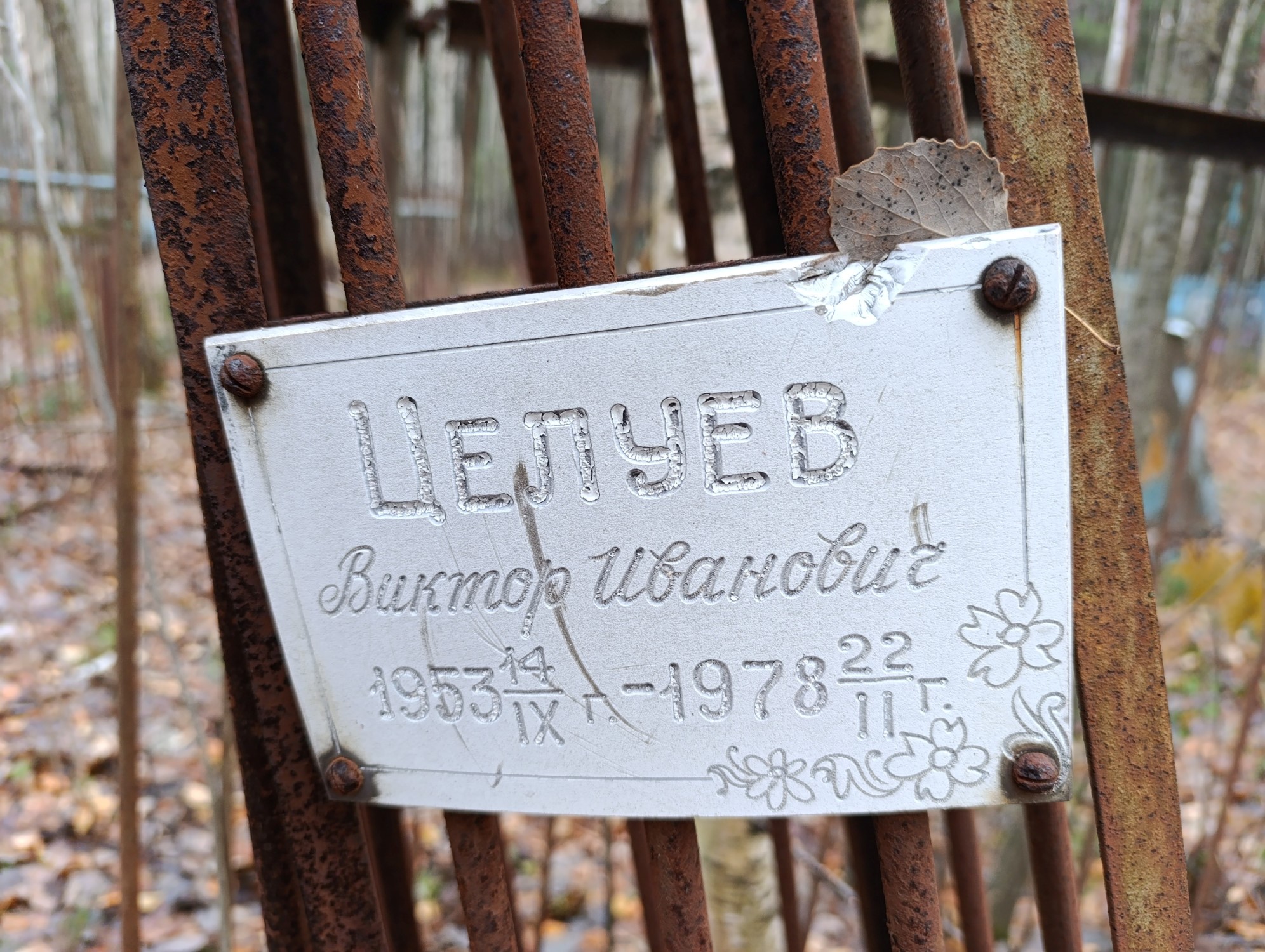 Целуев Виктор Иванович