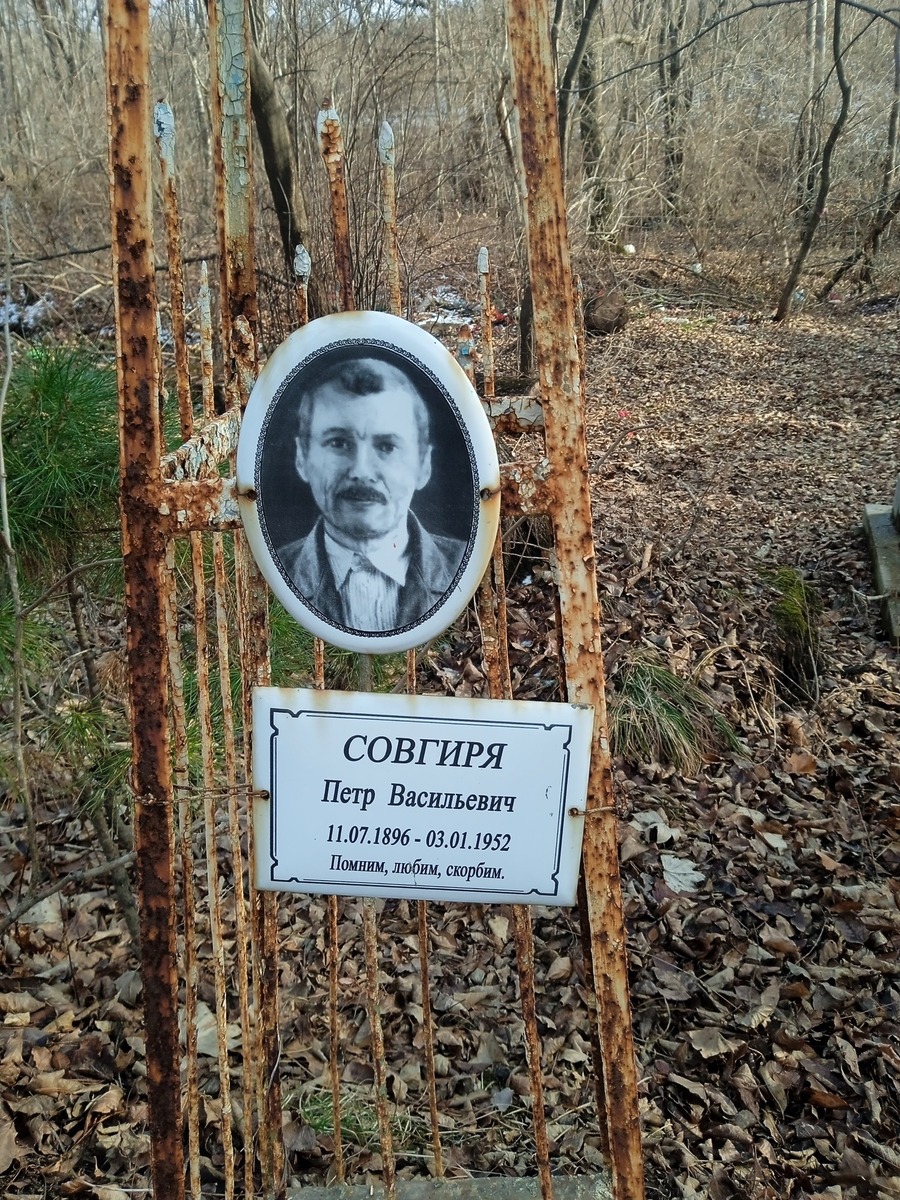 Совгиря Петр Васильевич
