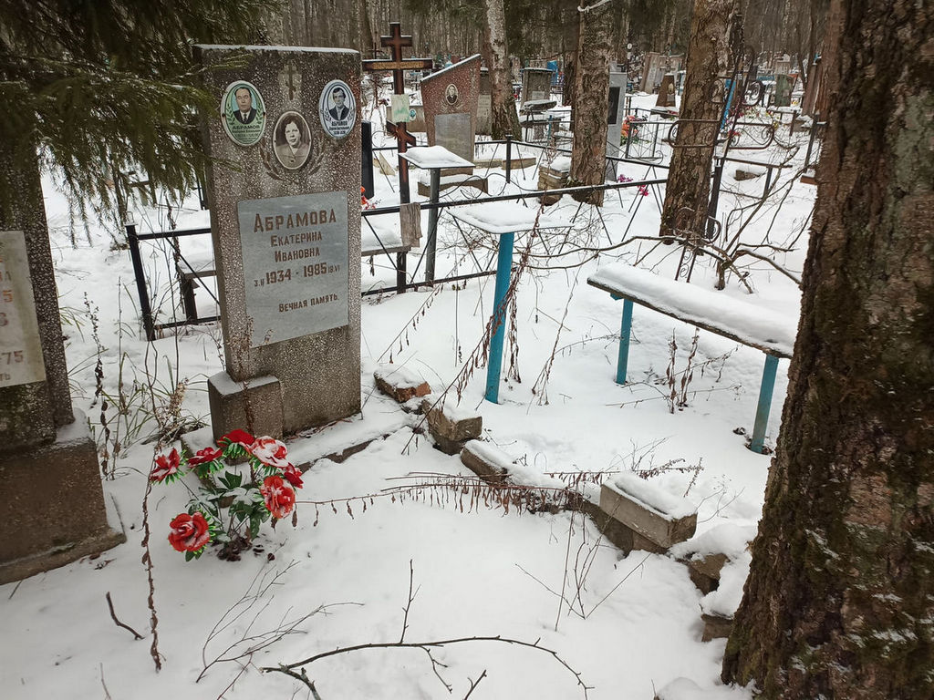 Абрамов Анатолий Васильевич