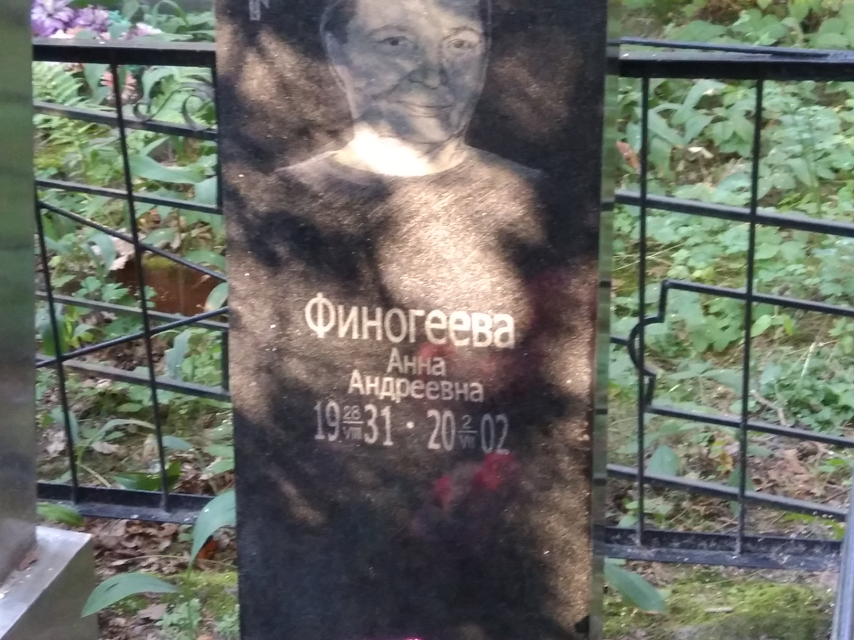 Финогеева Анна Андреевна