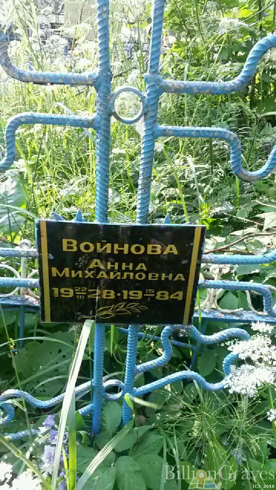 войнова анна михайловна