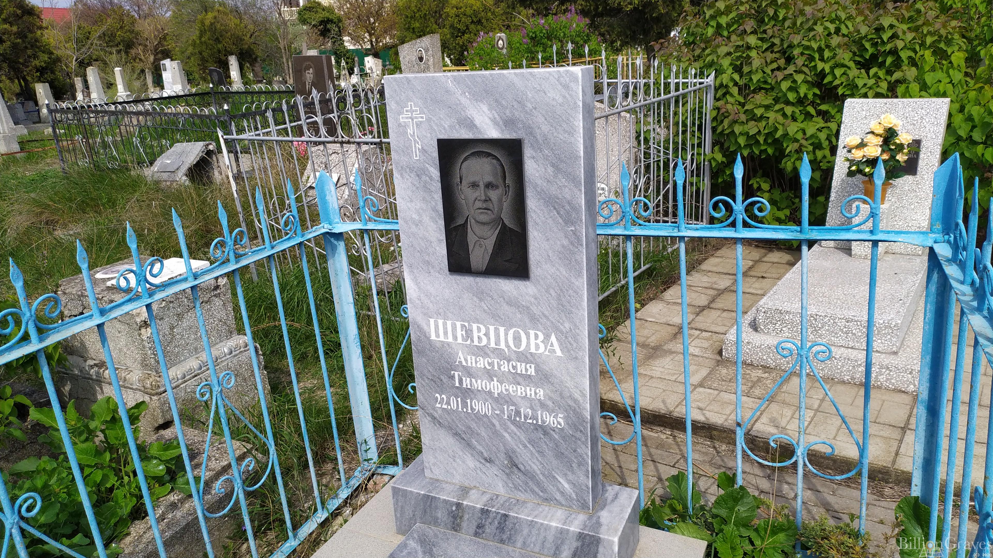 Шевцова Анастасия Тимофеевна