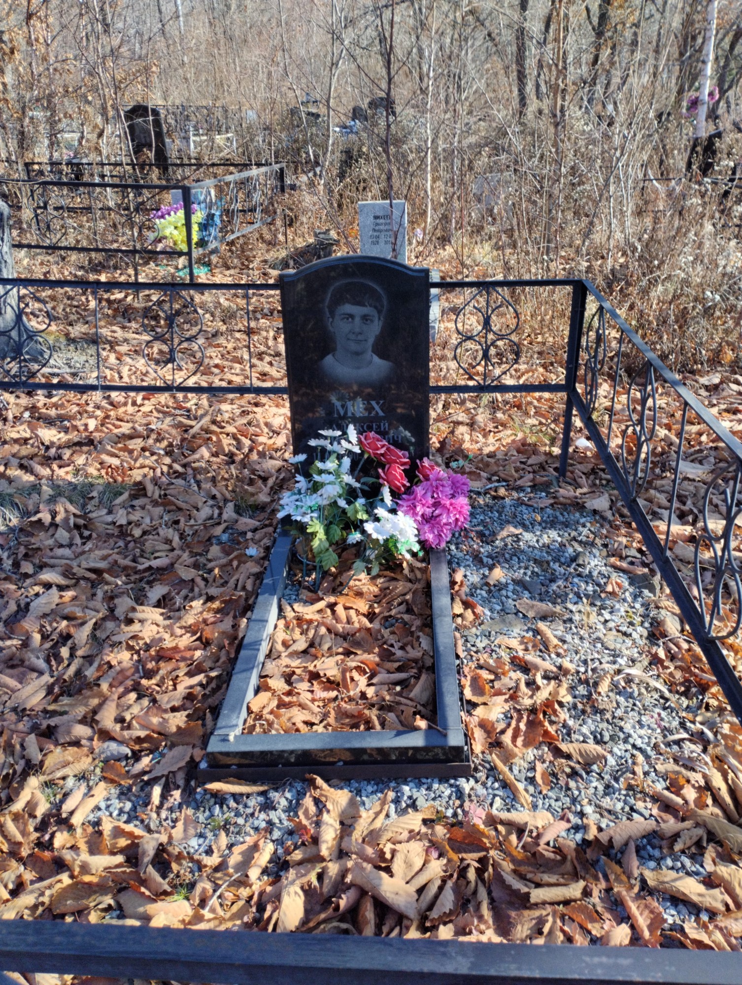 Мех Алексей Викторович