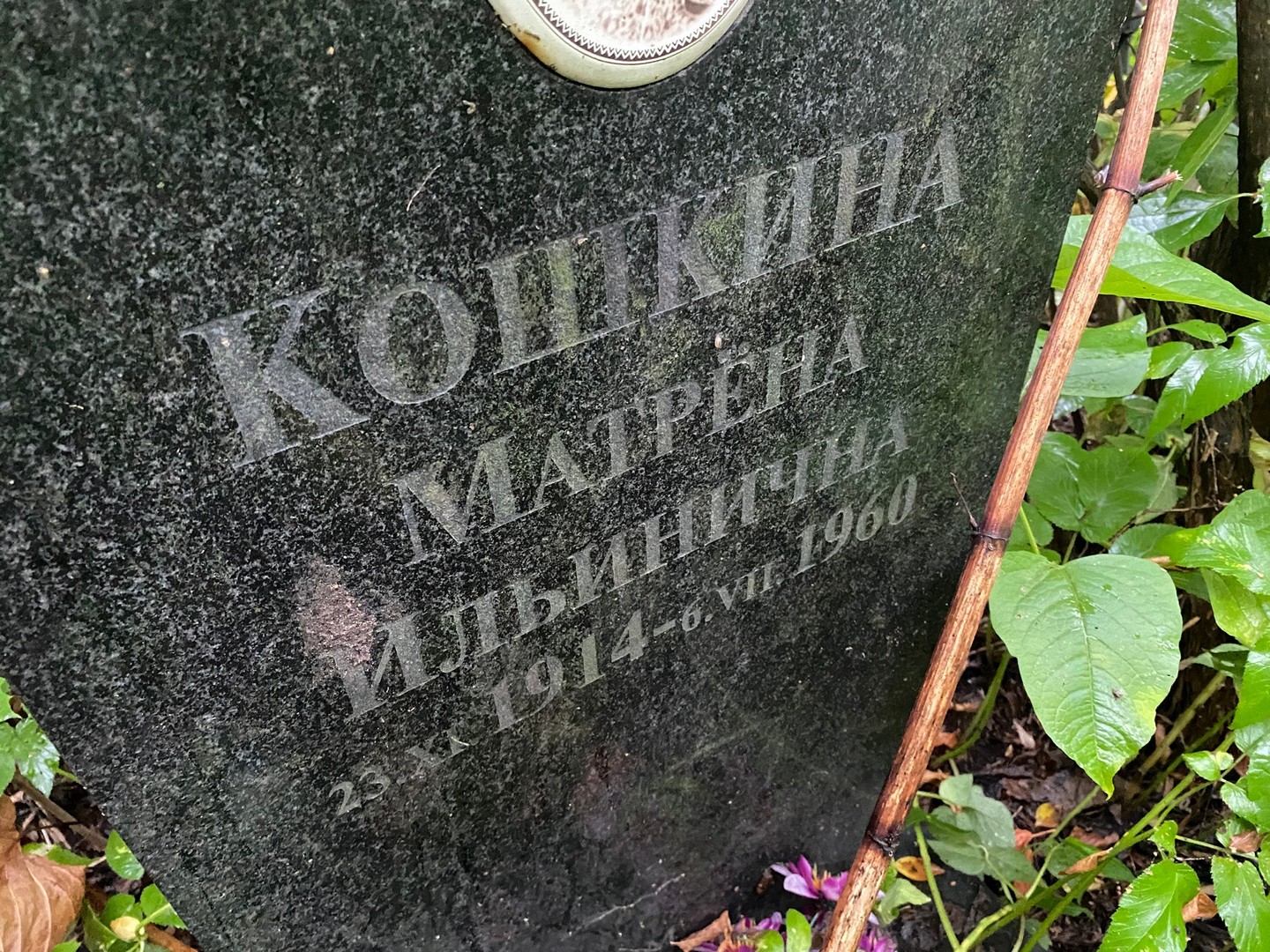 Матрена Кошкина Ильинична