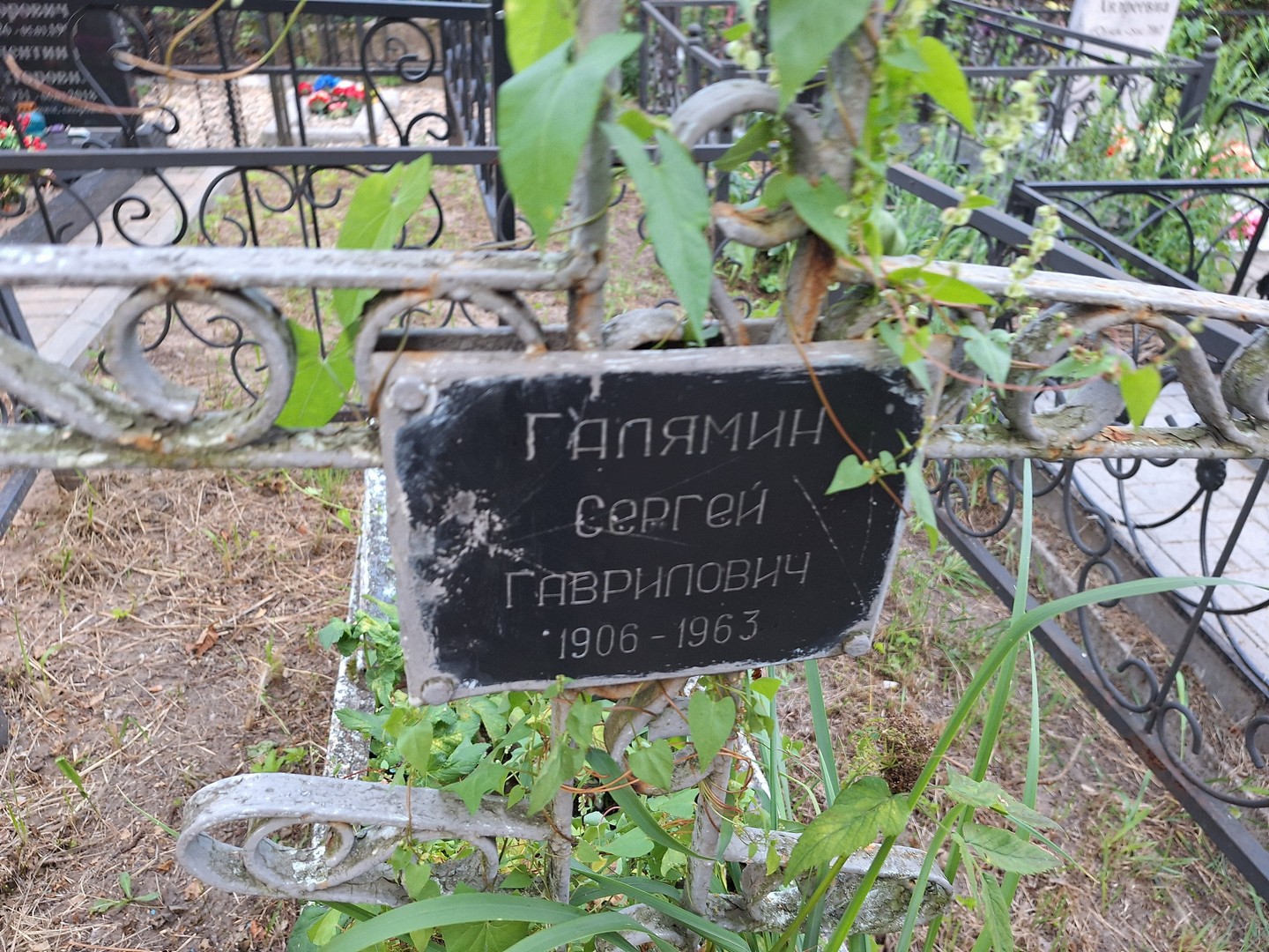 Галямин