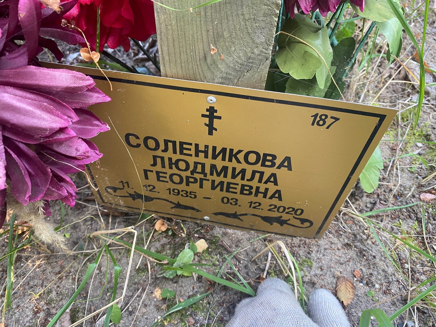 Соленикова