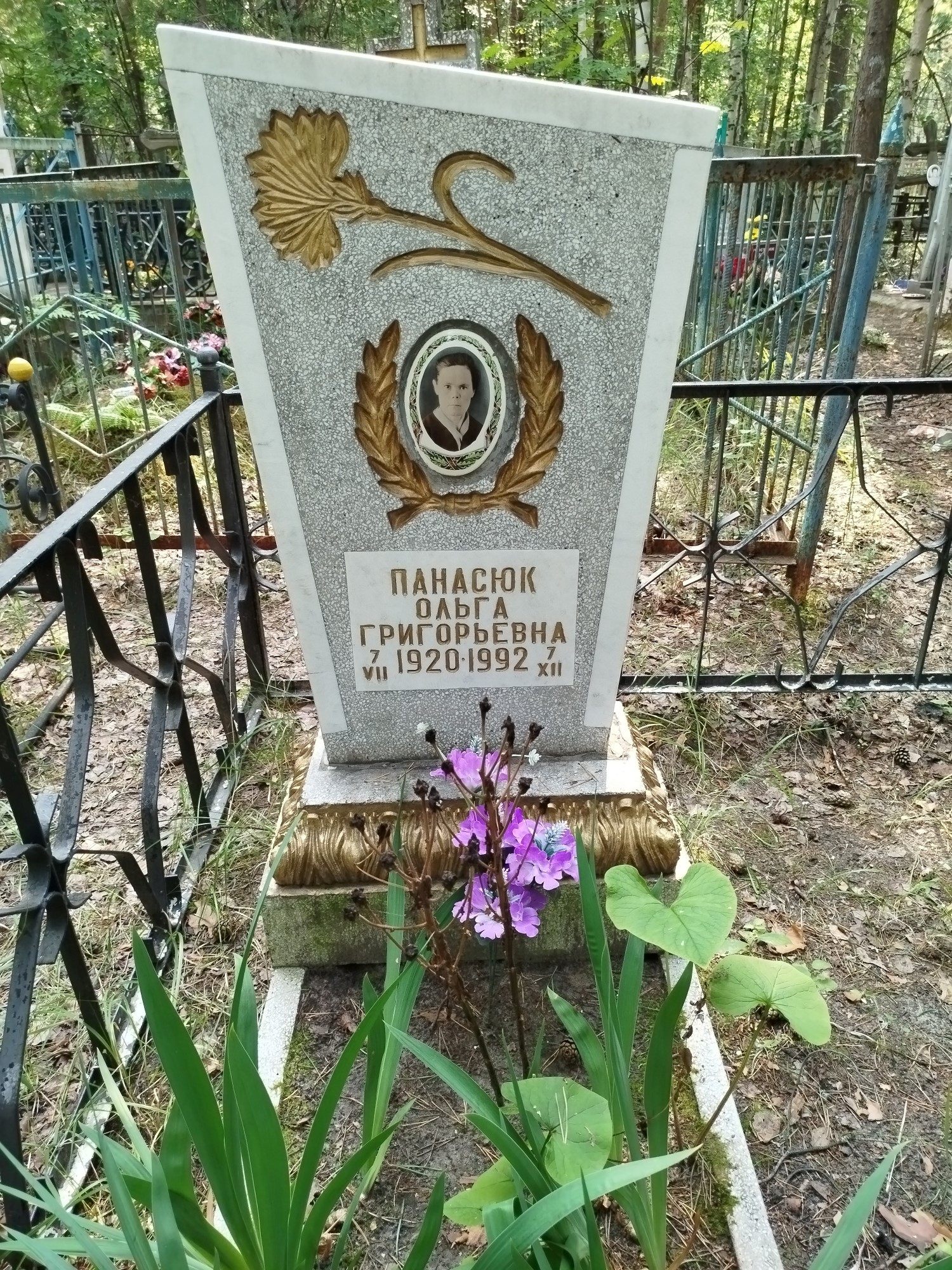 Панасюк Ольга Григорьевна