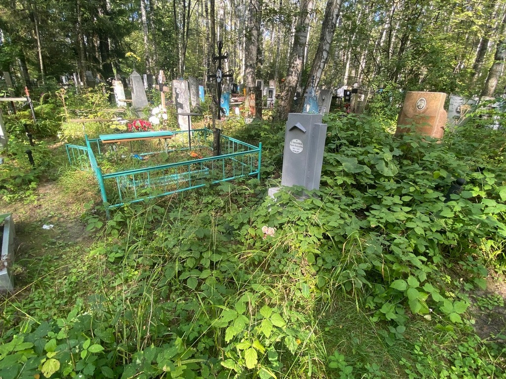 Соколова Мария Васильевна