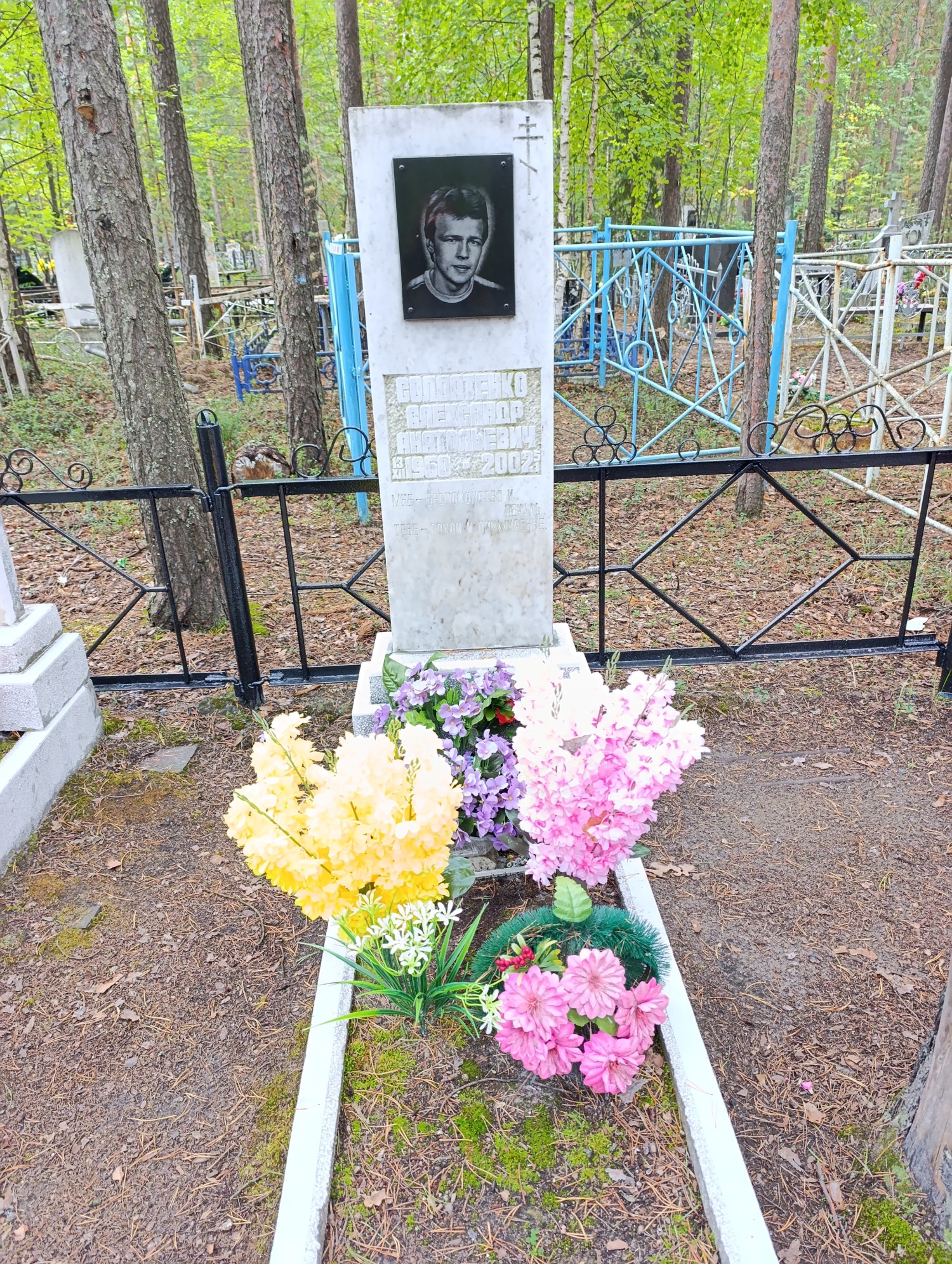 Солдатенко Александр Анатольевич