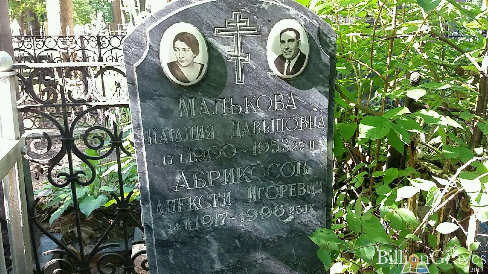Абрикосов Алексей Игоревич