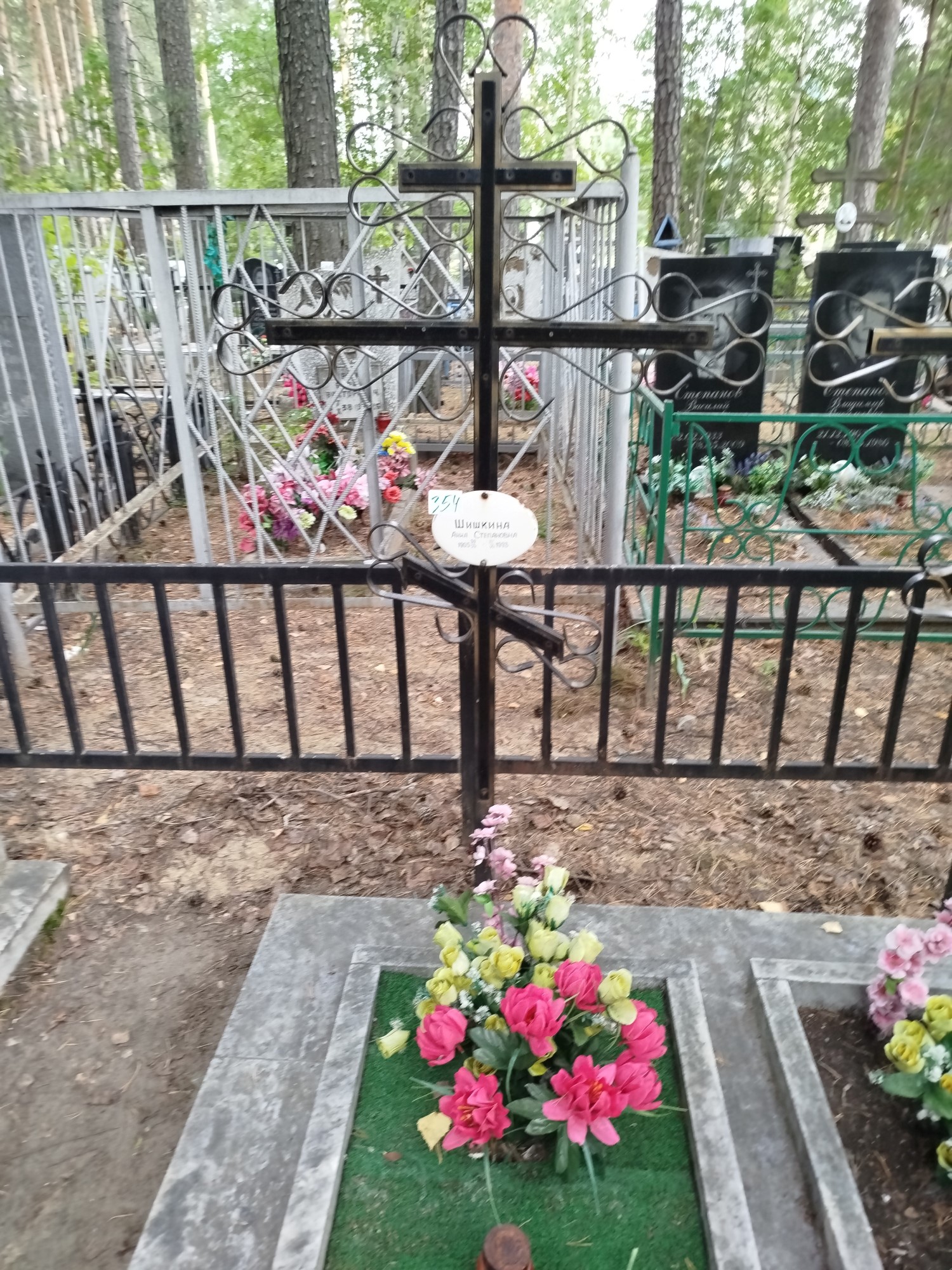 Шишкина Анна Степановна