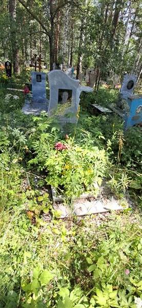 Богатырева Таисья Григорьевна