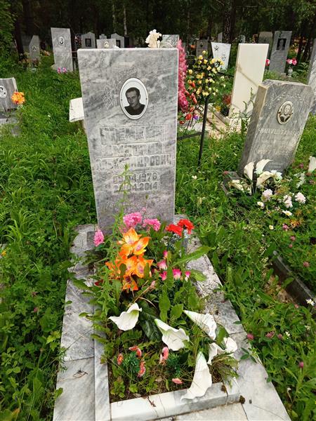 Шейкин Дмитрий Александрович