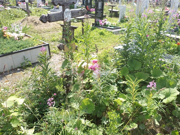 Зеленкова Людмила Анатольевна