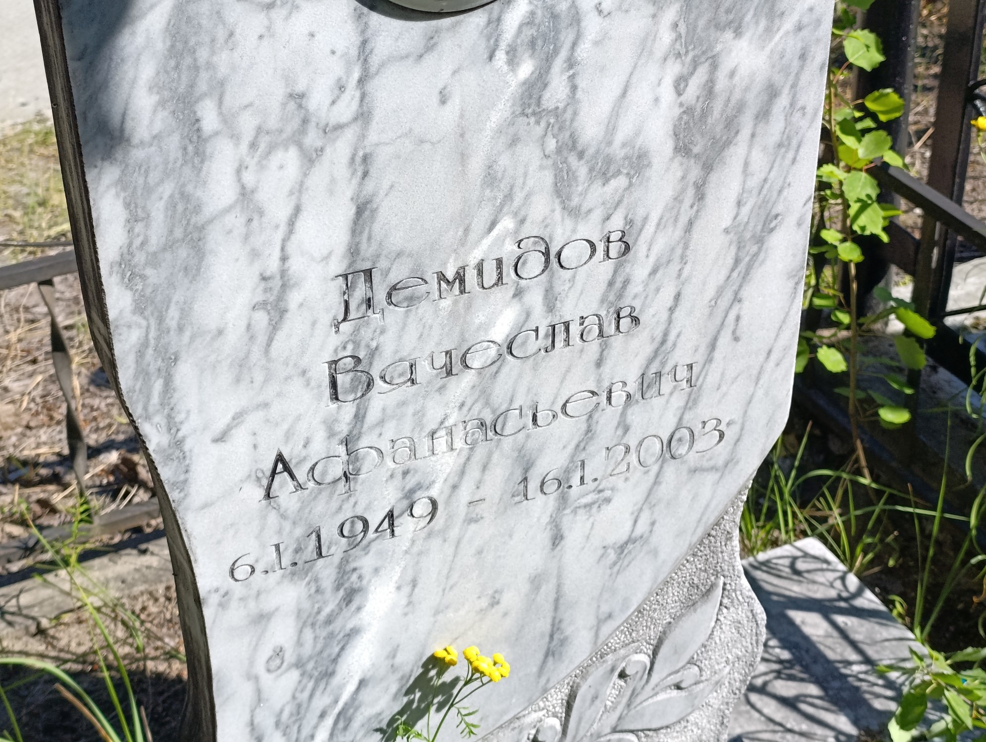 Демидов Вячеслав Афанасьевич