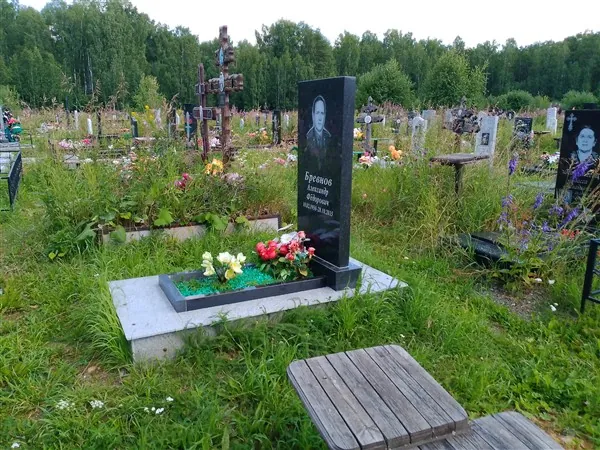 Бревнов Александр