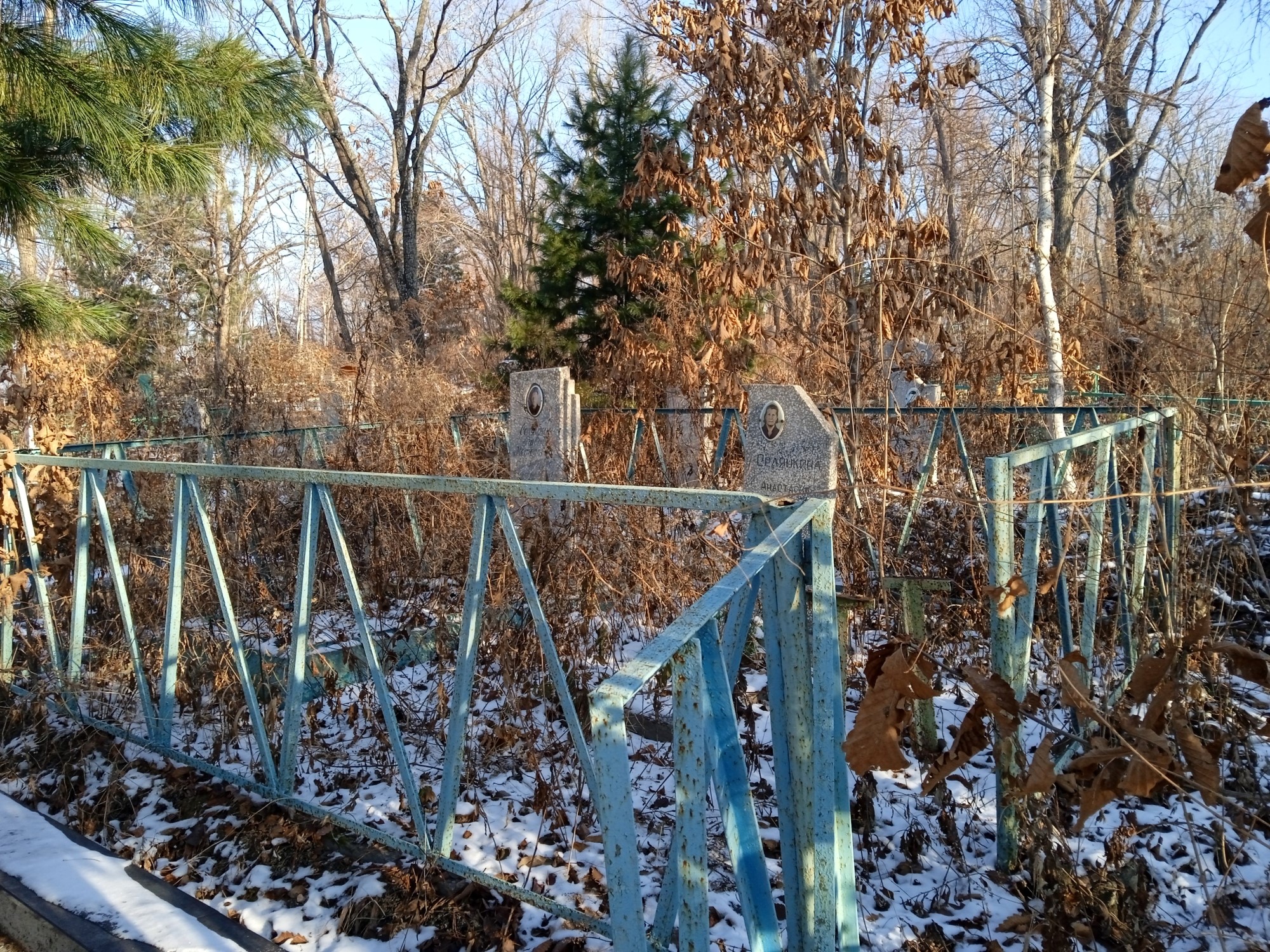 Селянкина Анастасия Петровна